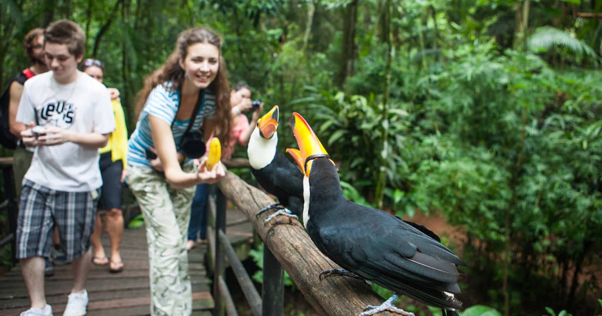 Parque das aves